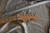 		Fender - STRATOCASTER AMERICAN DELUXE HSS anne  2007 
		