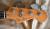 		Fender - JAZZ BASS 24  anne 2005 
		