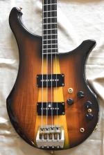 Vigier ARPEGE BASS SERIE 1 NOYER ROYAL 