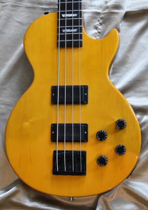 Gibson -  
