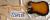 		Fender - TELECASTER AM STANDARD ann�e 1992 
		