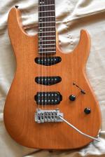 Washburn 