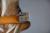 		Fender - Artist Signature - TELECASTER BRENT MASON  ann�e 2023 
		