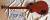 		Gibson - Les Paul special ann�e 2020 
		