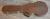 		Gibson - Les Paul special ann�e 2020 
		
