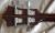 		Guild - USA B 50 ann�e 1975 
		