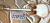 		JERRY JONES - LONG HORN BASS 6  COPPER BURST  
		