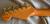 		Fender - STRATOCASTER  SRV  ann�e 1997 
		