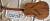 		Cort - Custom Shop Series - MASTER PIECE E-LE2 dreadnought   ann�e 2005 
		