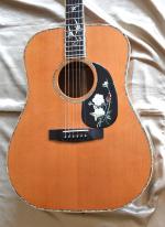Cort MASTER PIECE E-LE2 dreadnought   ann�e 2005