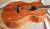 		Cort - MASTER PIECE grand auditorium EARTH EG1-LE2 ann�e 2006 
		