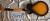 		Ibanez - GB10 SE BS 58.03 ann�e 2021 
		