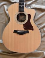 Taylor 214 ce ann�e 2022
