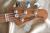 		STERLING - BY MUSICMAN SPLATED MAPLE RAY 34 H H SM   
		