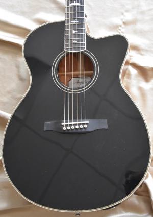 PRS - SE A 20 E BX  
