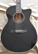 PRS SE A 20 E BX 