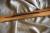 		Fender - TELECASTER  ann�e 1978  
		
