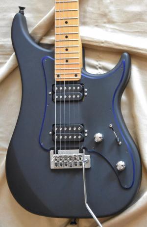 Vigier -  
