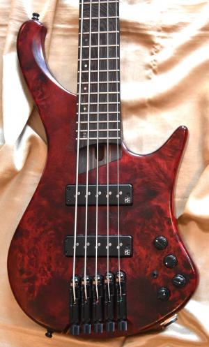 Ibanez -  
