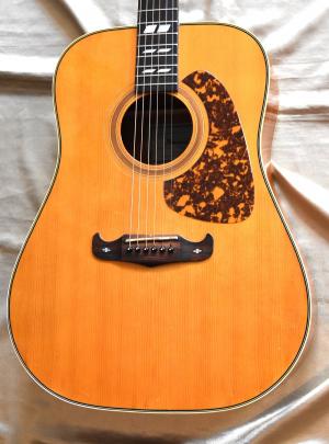 Ibanez -  

