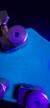 		BRIAN MOORE - DC1  USA ann�e 2005 
		