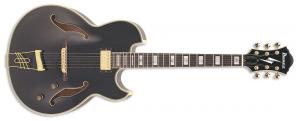 Ibanez - Pat Metheny - PM100 Black
