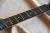 		Washburn - USA  PTK KORINA  PROTOTYPE ann�e  1998 
		