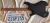 		Ibanez - QX 52 B  ann�e 2022 
		