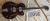 		Gretsch - G 6073   FRETLESS ann�e 2005 MIJ 
		