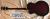 		Gretsch - G 6073   FRETLESS ann�e 2005 MIJ 
		